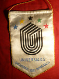 Fanionul Romaniei la Universiada 1981 ,L= 25,5 cm