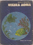(C1734) UZINA AQUA, DE MIHAI BACESCU, EDITURA ION CREANGA, BUCURESTI 1977