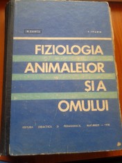 FIZIOLOGIA ANIMALELOR SI A OMULUI - P. Jitariu, N. Șanta