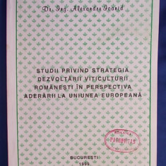 ING. ALEXANDRU IOANID - STUDII PRIVIND STRATEGIA VITICULTURII ROMANESTI , 1999 *