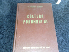 Cultura porumbului - Gh. Ionescu Sisesti - 1955 foto