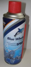 SPRAY ANTIRUGINA SI DEGRIPANT