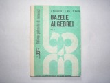 Nastasescu / Nita / Vraciu - Bazele algebrei ( volumul I ),r22,P12, Alta editura