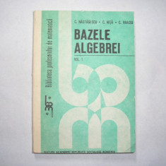 Nastasescu / Nita / Vraciu - Bazele algebrei ( volumul I ),r22,P12