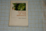 Constantin Toiu - Galeria cu vita salbatica - Editura Eminescu - 1984