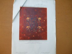 Plansa Covor Oltenesc din albumul Covorul Oltenesc de Al. Tzigara Samurcas