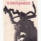 Ion Lazu - Ramasagul