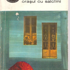 (C3600) ORASUL CU SALCIMI DE MIHAIL SEBASTIAN, EDITURA PENTRU LITERATURA, 1968, PREFATA DE SIMION MIOC, ORASUL CU SALCAMI