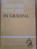 IN GRADINA - Dimitrie Anghel