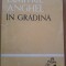 IN GRADINA - Dimitrie Anghel