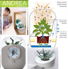 purificator de aer ecologic ANDREA cu planta naturala foto