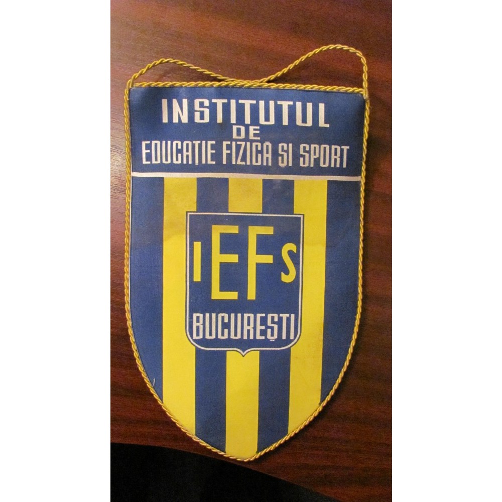 Pvm Fanion Frumos Institutul De Educatie Fizica Si Sport Iefs