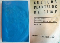 CULTURA PLANTELOR DE CAMP foto