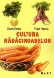 Victor Popescu, Florina Uleanu - Cultura radacinoaselor