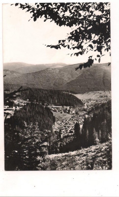 carte postala(ilustrata)-BORSEC-vedere generala foto