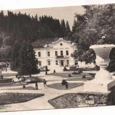 carte postala(ilustrata)-BORSEC-vedere din parc