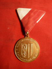 Medalie - Pentru Merite Deosebite- 25 Ani Tirol - Austria foto