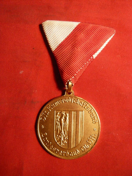 Medalie - Pentru Merite Deosebite- 25 Ani Tirol - Austria
