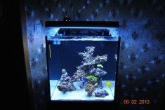 Vand ACVARIU MARIN / COMPLET foto