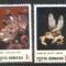 Romania 1985 - FLORI DE MINA, serie nestampilata B296