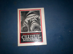 CLUJUL MEDIEVAL STEFAN PASCU foto