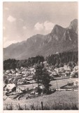 Carte postala(ilustrata)-BUSTENI-vedere generala, Necirculata, Fotografie