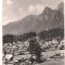 carte postala(ilustrata)-BUSTENI-vedere generala