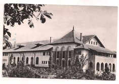 carte postala(ilustrata) BREAZA-Casa de cultura