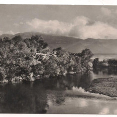 carte postala(ilustrata) -VALEA OLTULUI LANGA SIBIU