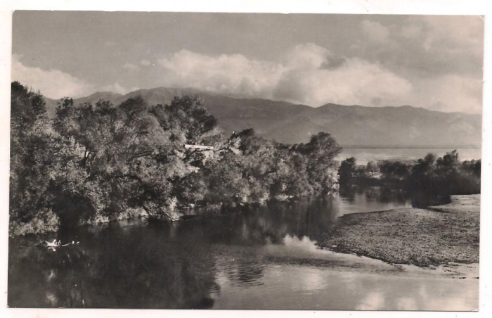 carte postala(ilustrata) -VALEA OLTULUI LANGA SIBIU