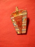 Insigna - pt.Deportati Buchenwald