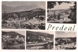 carte postala(ilustrata) PREDEAL