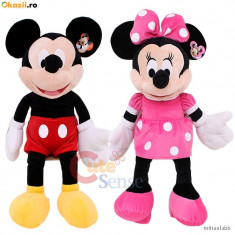 Minnie si Mickey Mouse - SET PERECHE PROMOTIE foto