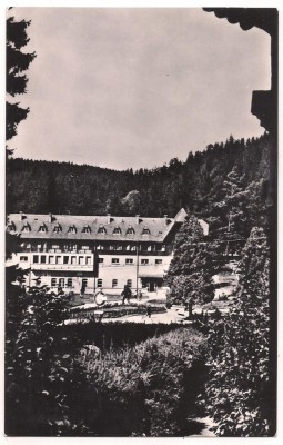 carte postala(ilustrata) BORSEC-Vedere din statiune foto