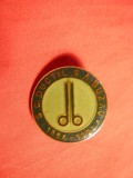 Insigna SC Ductil SA BUZAU 1994