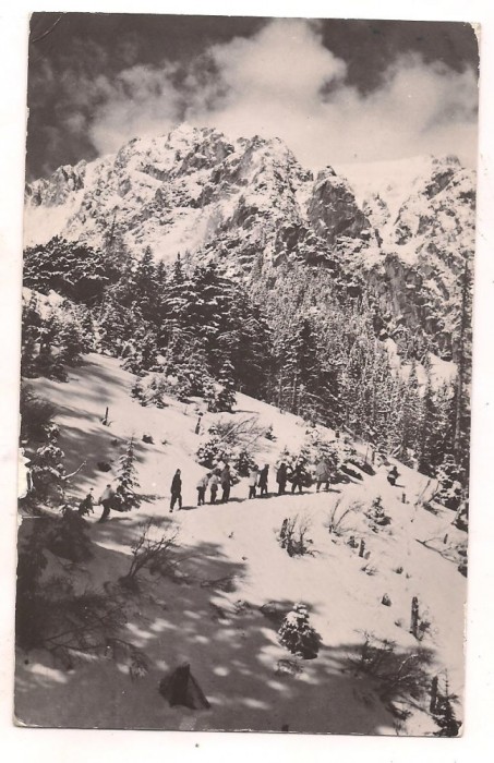 carte postala(ilustrata) -MUNTII BUCEGI- Bucsoiul iarna