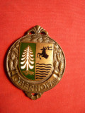 Medalie SKI - Oberhof - Turingia