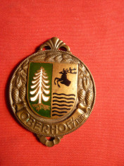 Medalie SKI - Oberhof - Turingia foto