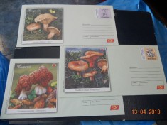 SET 6 PLICURI CIUPERCI COMESTIBILE