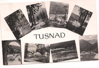 carte postala(ilustrata) -TUSNAD -colaj foto