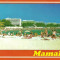 NGL: Romania MAMAIA Vedere Anii 90 Carte Postala Color Necirculata Carti Postale Vechi CP