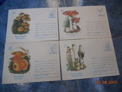 SET 12 PLICURI CIUPERCI 1993 HARTIE NORMALA foto
