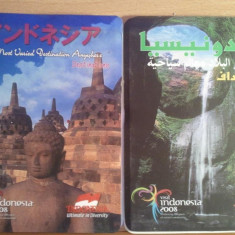 Lot 2 harti turistice Indonezia, 20 roni lotul