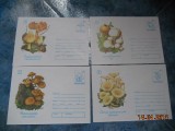 SET 12 PLICURI CIUPERCI HARTIE LUCIOASA 1993 RAR