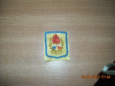 EMBLEMA PIONIERI foto