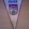 Fanion