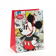 Punga Cadou Mickey Mouse by Disney foto