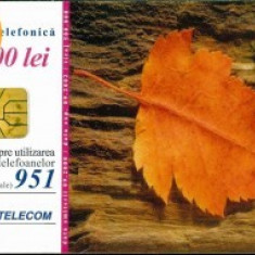Cartela telefonica Romtelecom, Frunza, tiraj 950.000 exemplare