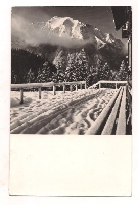 carte postala(ilustrata) -Muntii Bucegii-Bucsoiul vazut de la Diham foto