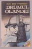 Alex Mihai Stoenescu - Drumul Olandei, 1991